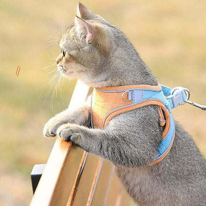 🔥Heißer Verkauf🔥Katzengeschirr mit Leine