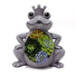 🔥Heißer Verkauf🔥Solar harz Frosch Figur Gartendeko für Draußen