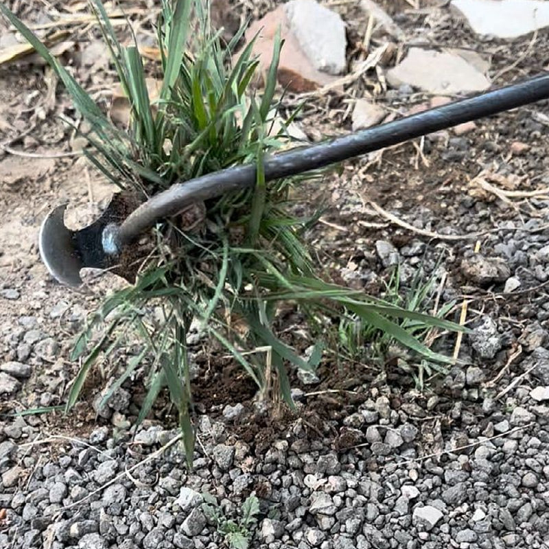 🔥Gardening Hand Weeder Tools