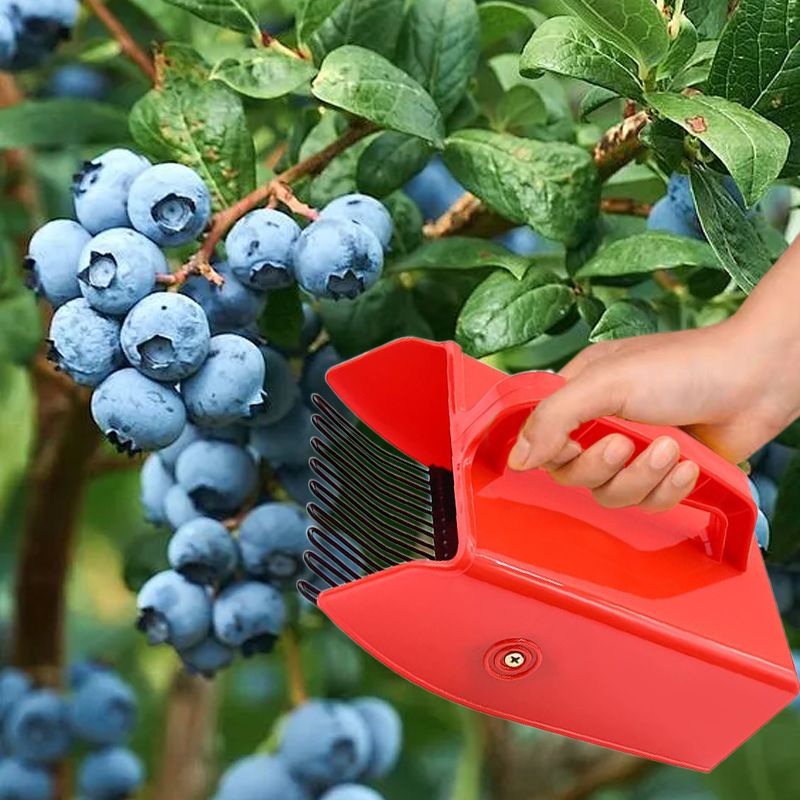 Fast Berry Picker with Metallic Comb