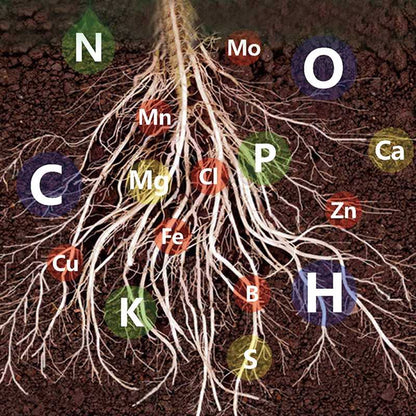 Fast-Acting Nutrient Solution for Plants