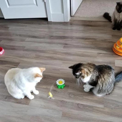 🔥Interaktives Vogelspielzeug für Katzen